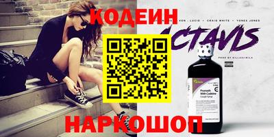 индика Новодвинск