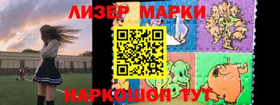 индика Новодвинск