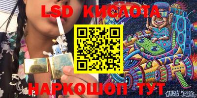 индика Новодвинск