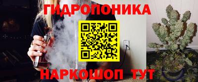 индика Новодвинск