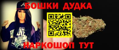 индика Новодвинск