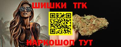 индика Новодвинск