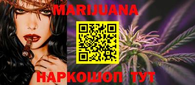 индика Новодвинск
