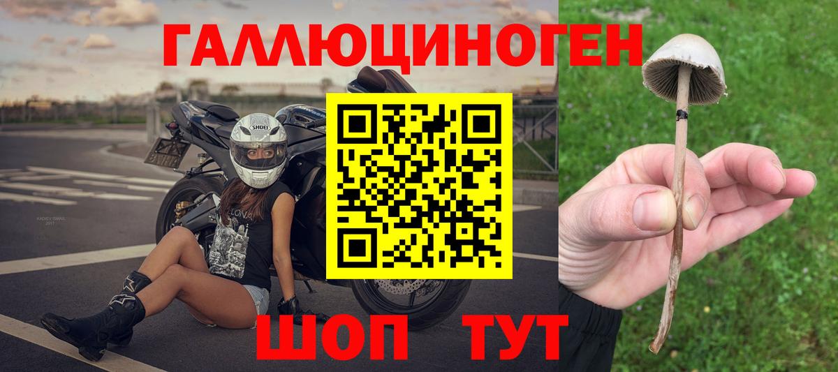 Реутов  Псилоцибиновые грибы мицелий  Вход с VPN 